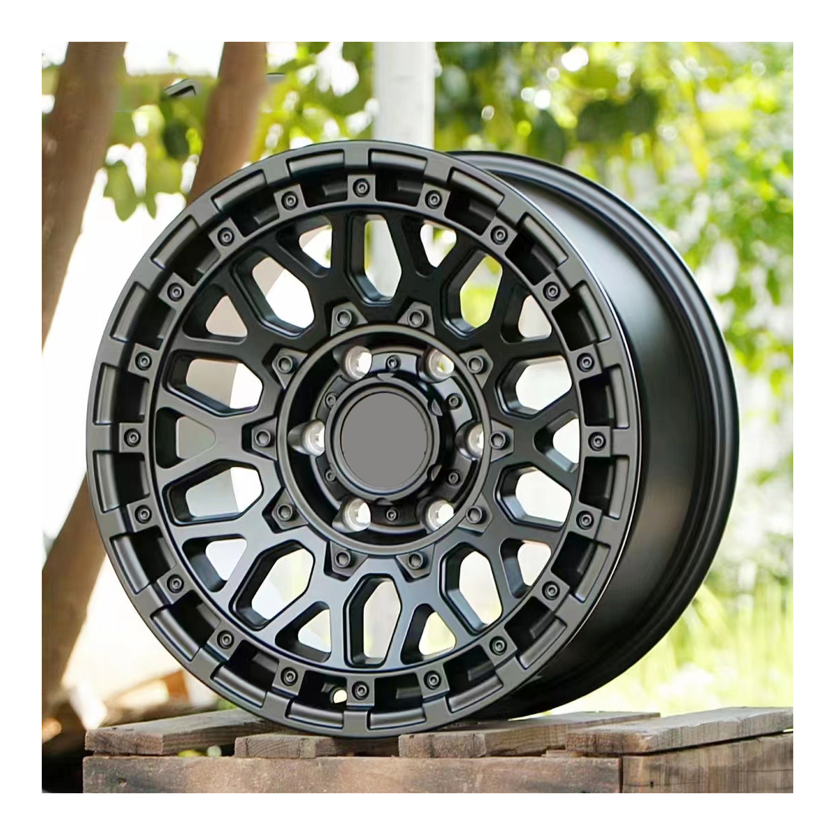 Durable 350W off-Road Adult Wheel for All Terrain Adventures